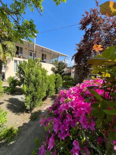 Magnetiti Apartment | Ureki Beach Apartment