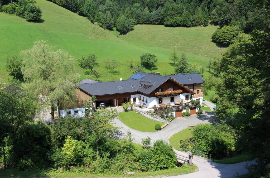 Scheibbs Apartment | Urlaub mitten im Wald - Lueg