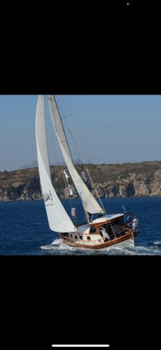 Bodrum City Center Boat Rental | Usta-k