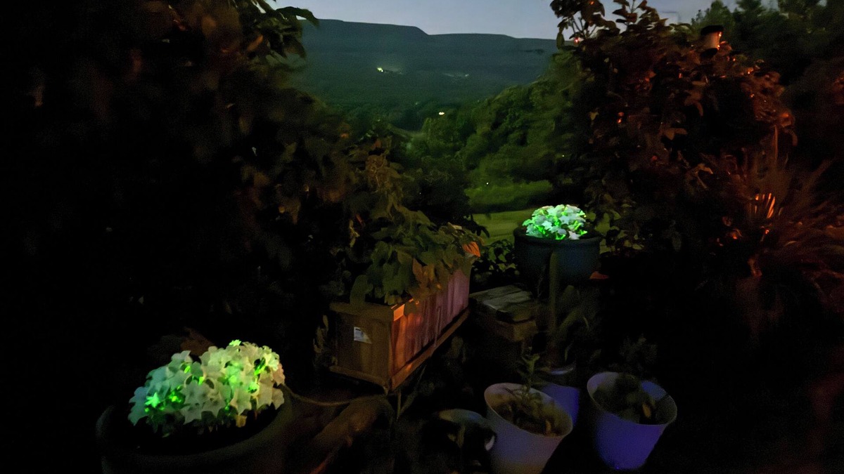 Town of New Scotland House | Utopian Country Retreat w Glowing Flowers