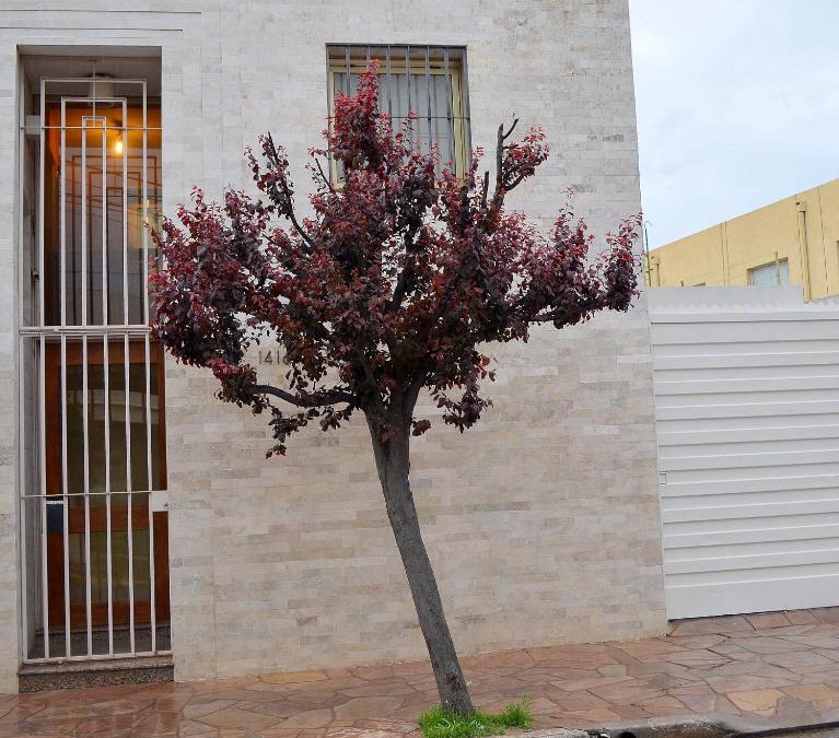 San Luis Apartment | Vía Lavalle Suites 1