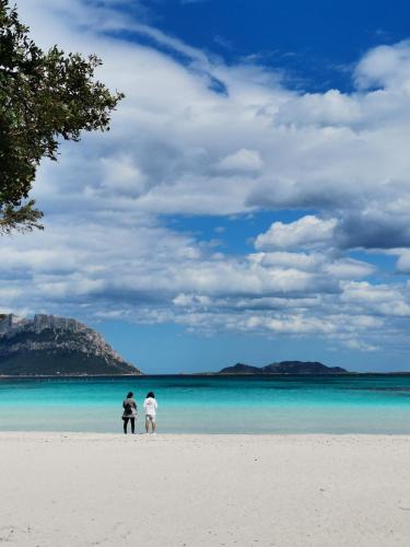 Porto Istana House | Vacanze da sogno a pochi km. da Olbia