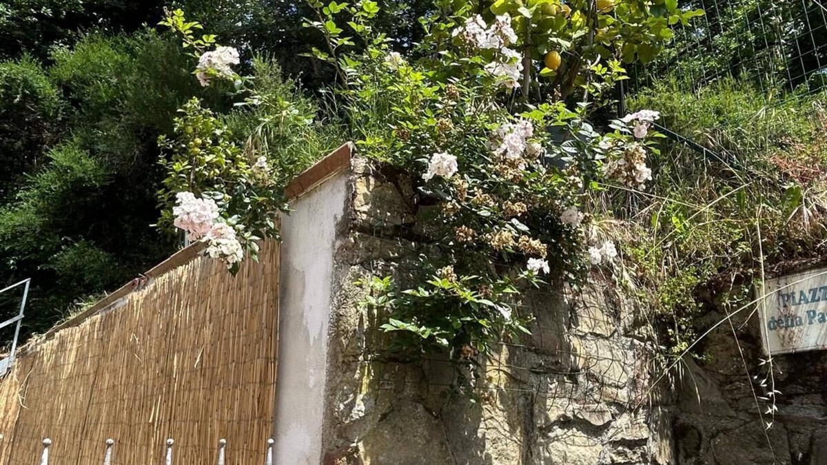 Giugnano House | Vacanze toscane relax e privacy