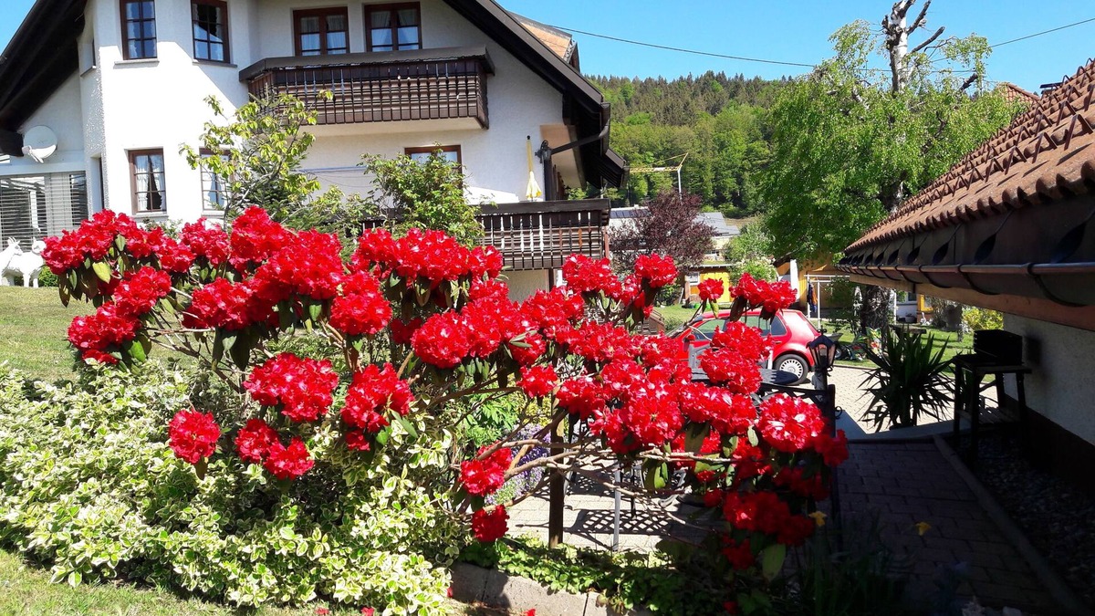 Wittenschwand Apartment | Vacation apartment/apartment for 2 guests with 90m² in Dachsberg (southern Black Forest) (95171)
