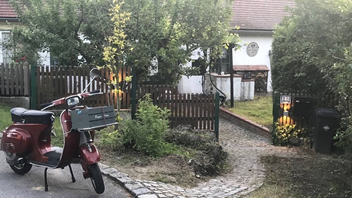 Prinzendorf an der Zaya Apartment | Vacation apartment/apartment for 5 guests with 83m² in Prinzendorf an der Zaya (125235)