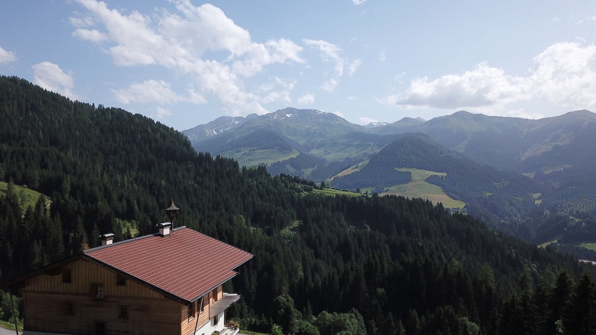 Wildschoenau Apartment | Vacation apartment/apartment for 4 guests with 46m² in Oberau Wildschönau (153431)