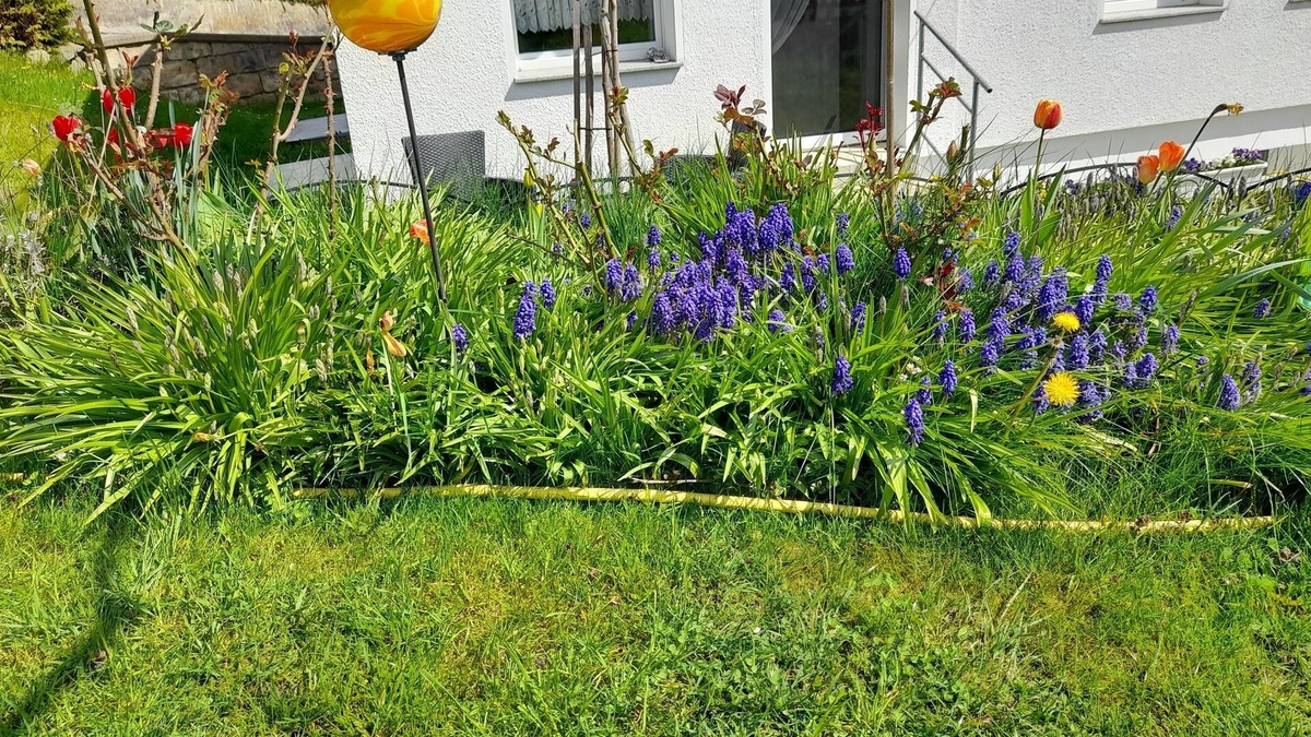 Rabenau Apartment | Vacation apartment/apartment for 4 guests with 60m² in Rabenau-Spechtritz (167671)
