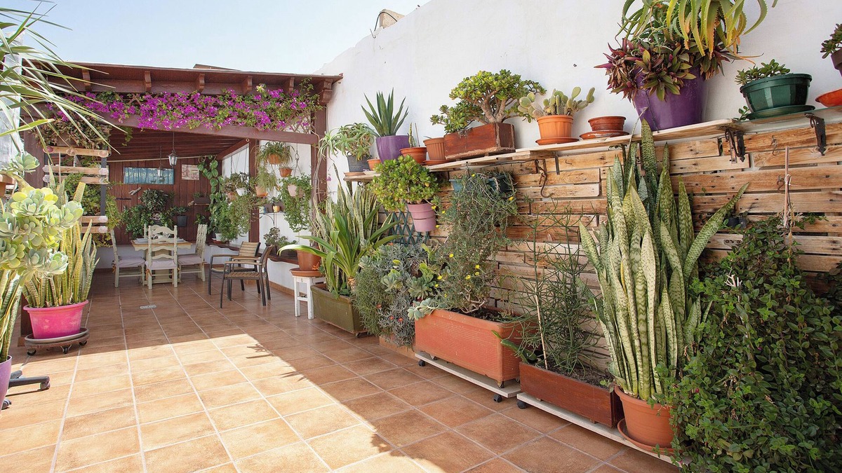 Puerto del Rosario Apartment | Vacation Apartment 'Alojamiento El Ocaso' with Private Terrace and Wi-Fi