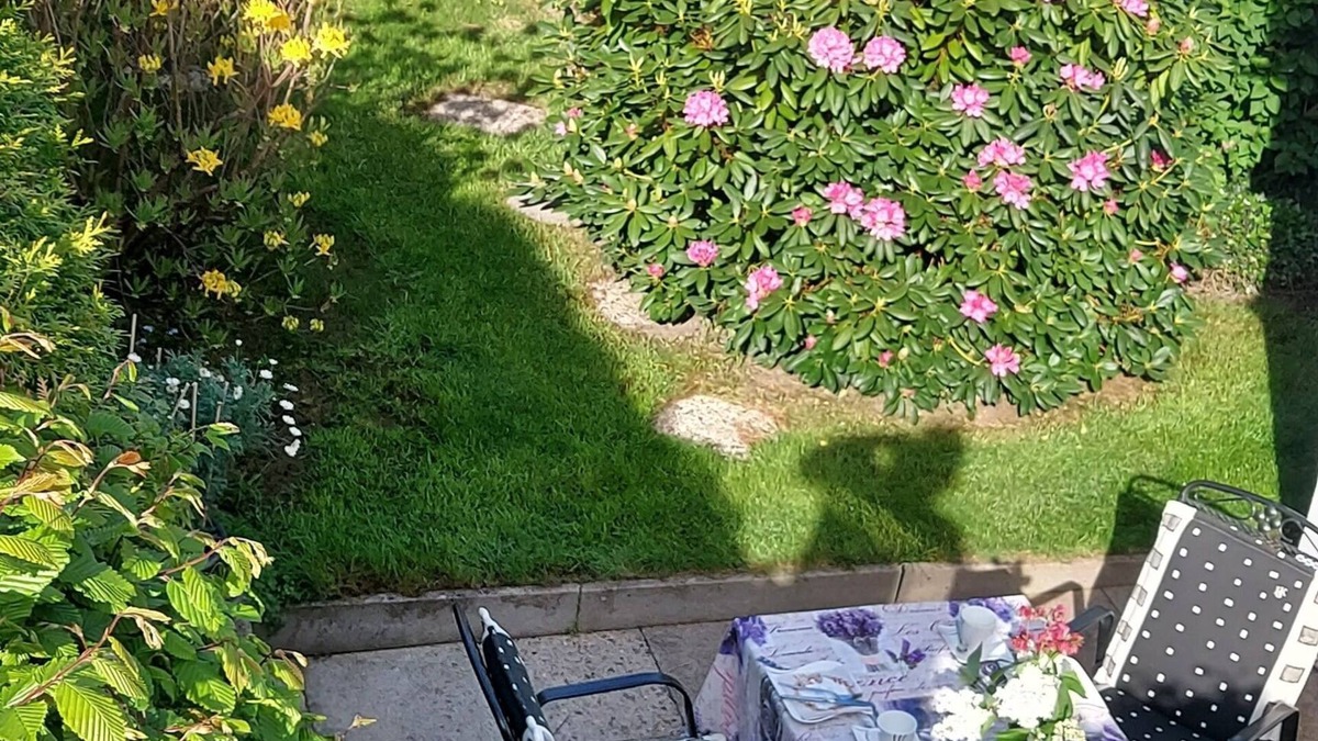 Bad Fallingbostel Apartment | Vacation apartment Lüneburg Heath/Allertal - terrace/garden, heath park, bird park