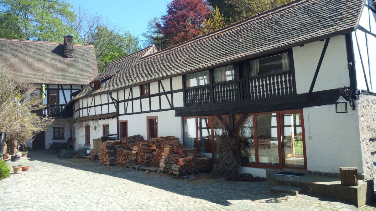 Seeheim-Jugenheim Apartment | Vacation apartment/apartment for 4 guests with 45m² in Seeheim-Jugenheim (133451)
