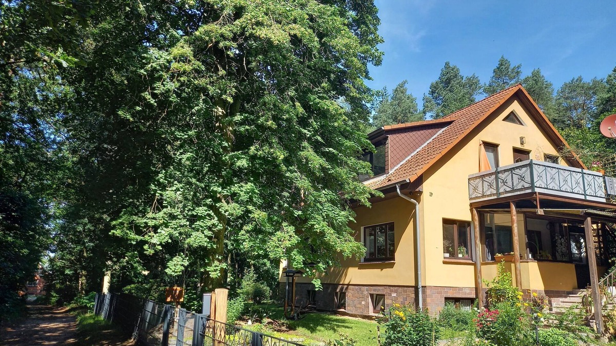 Neustadt-Glewe Apartment | Vacation apartment "Waldblick
