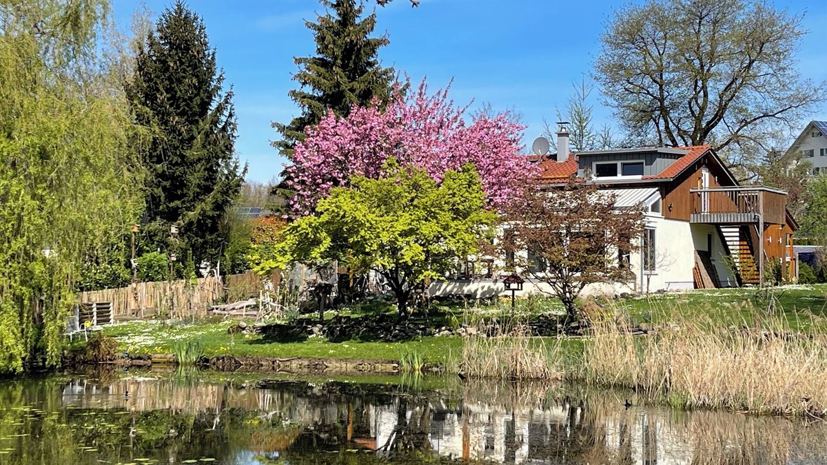 Hergensweiler Apartment | Vacation apartment Mollenberg 5*