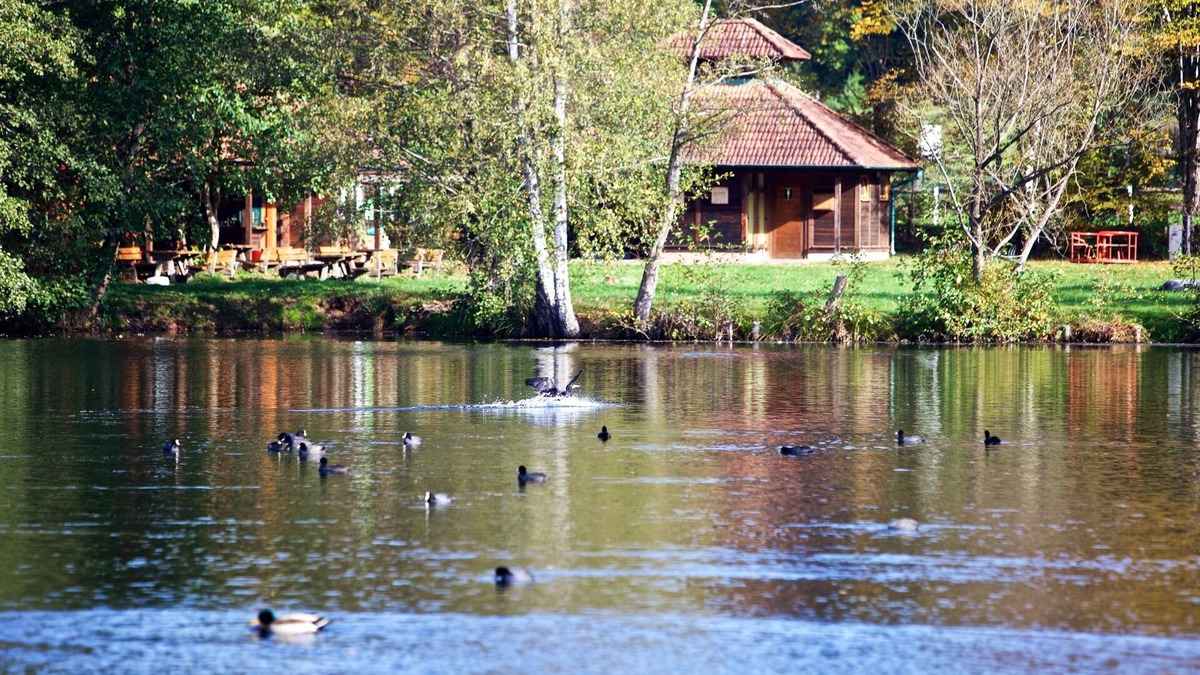 Ludwigswinkel Apartment | Vacation apartment/apartment for 2 guests with 39m² in Ludwigswinkel (270796)