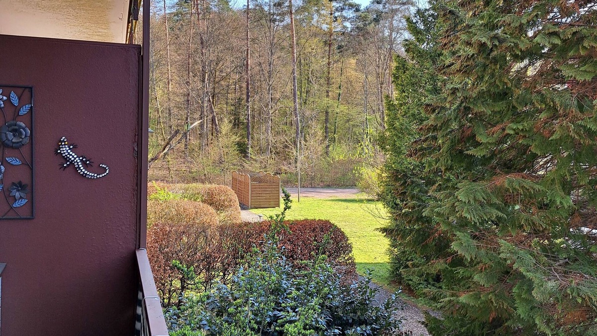 Ludwigswinkel Apartment | Vacation apartment/apartment for 2 guests with 39m² in Ludwigswinkel (270798)