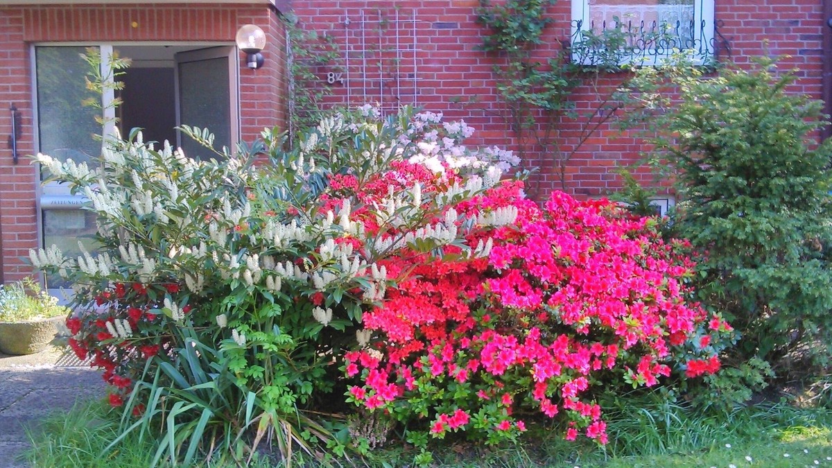 Altengroden Apartment | Vacation apartment close to the green city park, close to the harbor and water