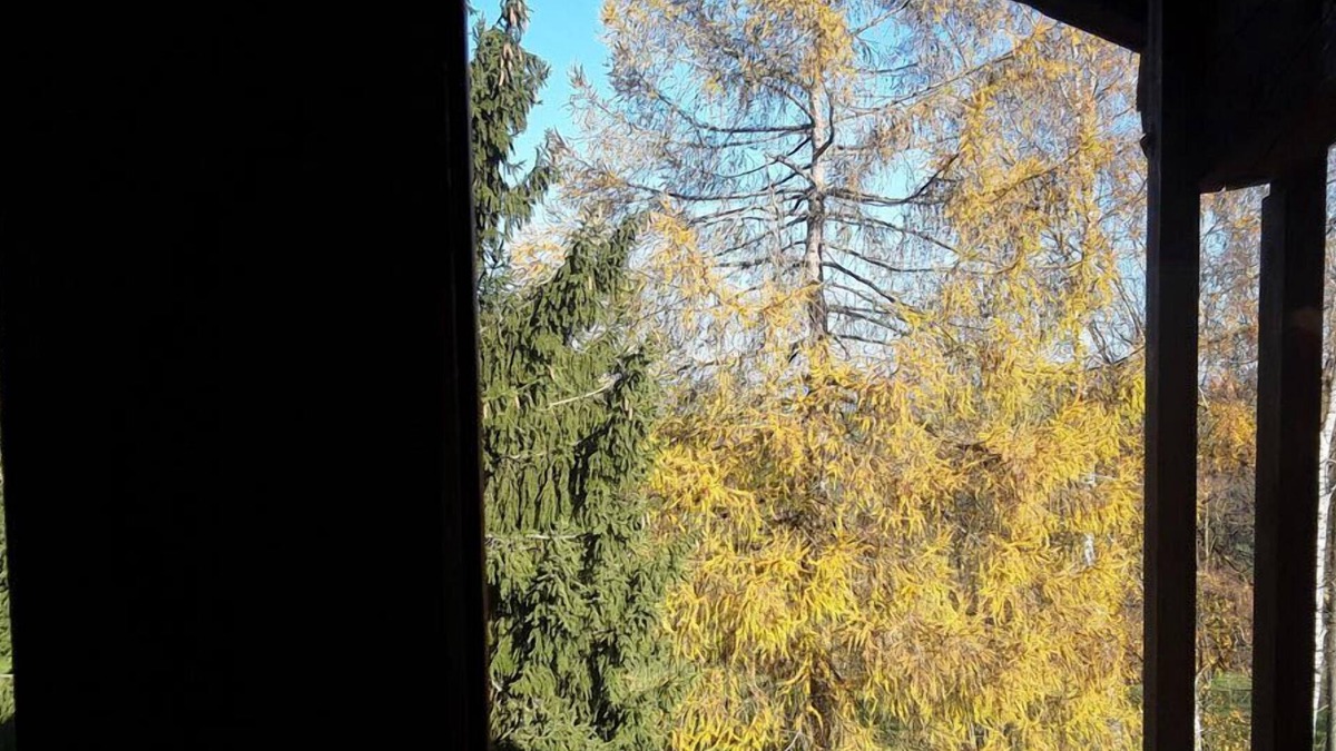 Witzmannsberg Apartment | Vacation apartment "Ilztalblick" (75 sqm) with balcony