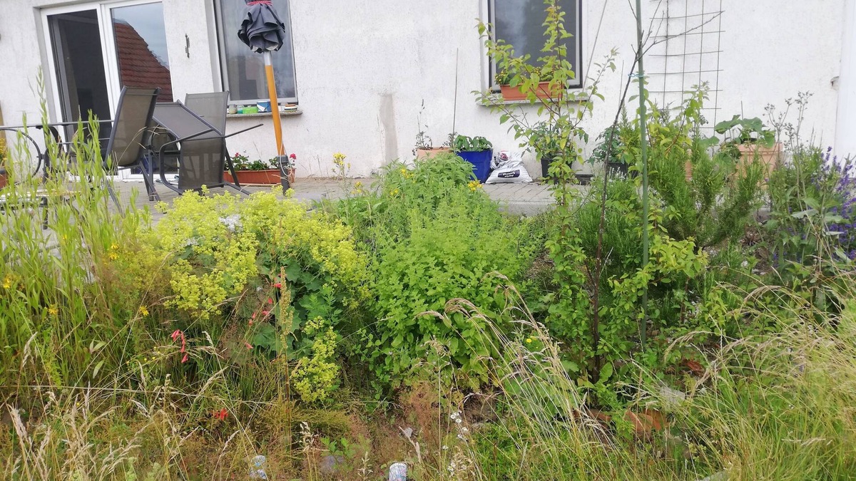 Korchow Apartment | Vacation apartment/apartment for 4 guests with 75m² in Wittenburg (144958)