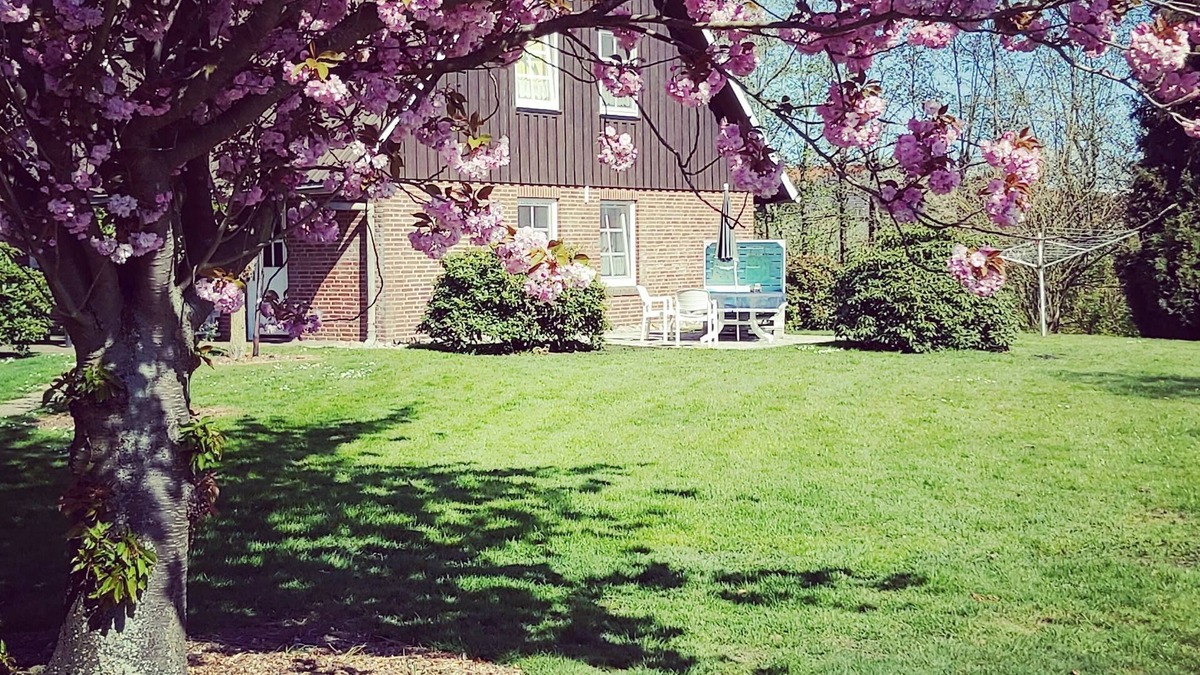 Jork Apartment | Vacation apartment/apartment for 2 guests with 33m² in Jork (125792)