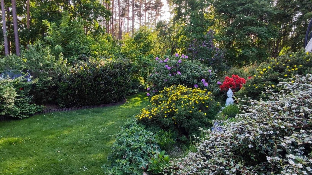 Kuesten Apartment | Vacation apartment close to nature ideal for relaxation