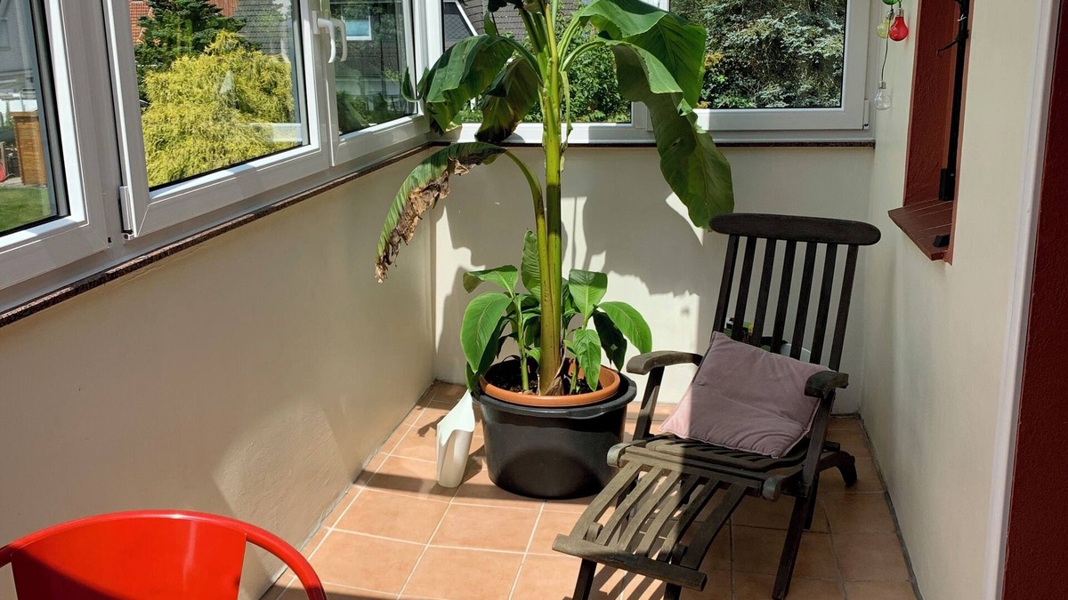 Schiffdorferdamm Apartment | Vacation apartment with conservatory in Bremerhaven