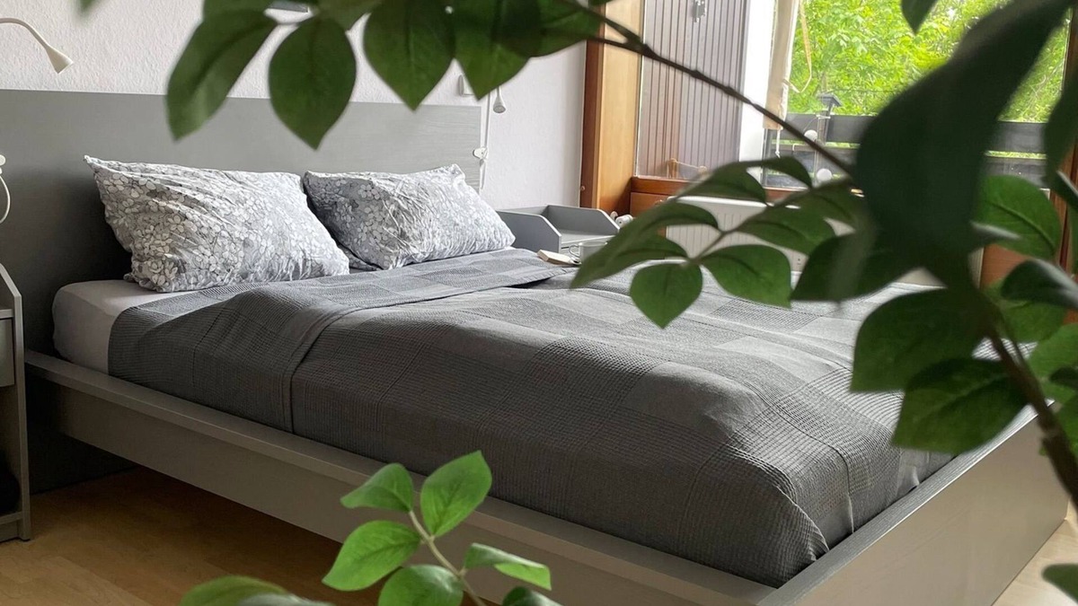 Kniebis Apartment | Vacation apartment in Freudenstadt-Kniebis II, Black Forest