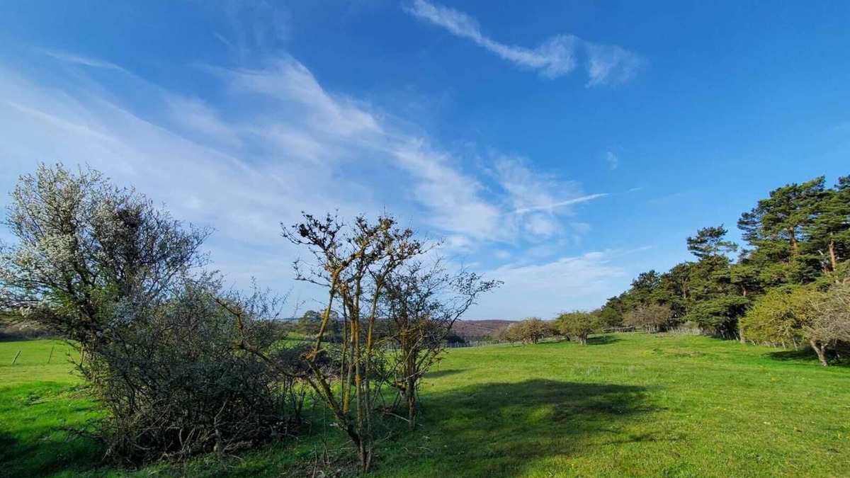 Nettersheim Apartment | Vacation apartment "Ziegenvilla"! Vacation on a farm in the Eifel