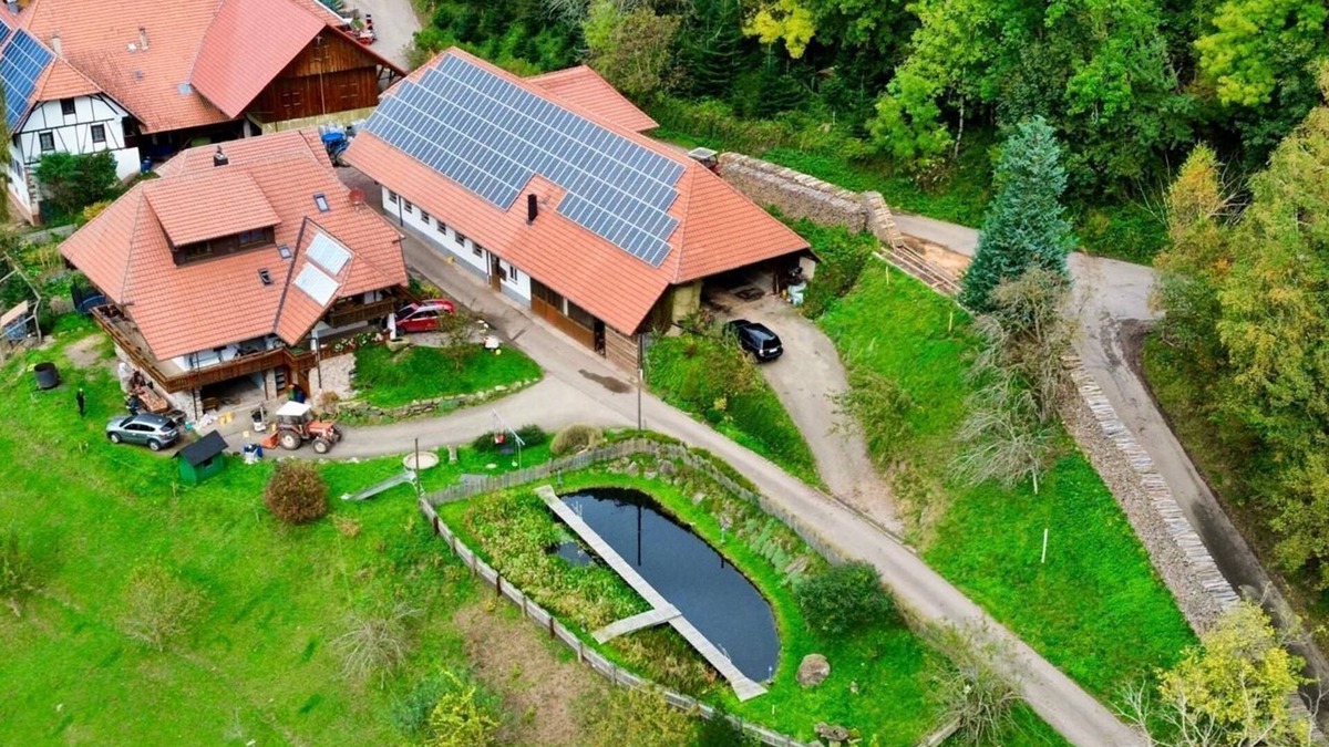 Schuttertal Apartment | Vacation apartment Rufenbauernhof - Holiday apartment for 3 pers.