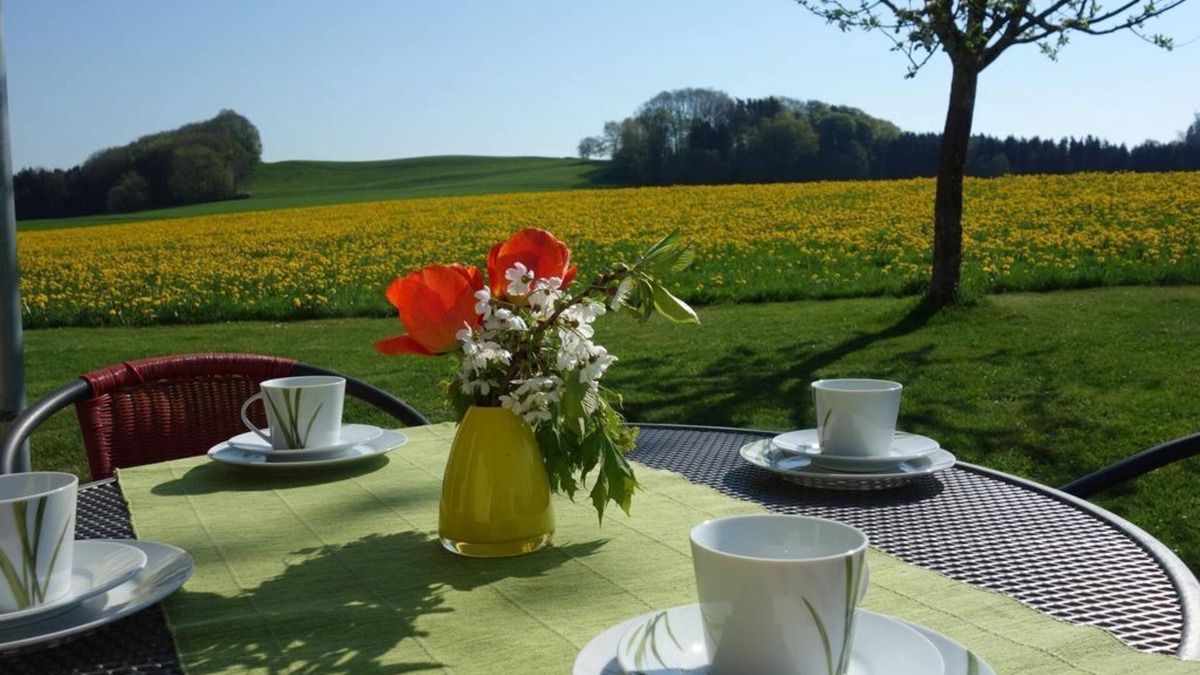 Albisreute Apartment | Vacation apartment Gänseblümchen - Holiday apartment Katzheim