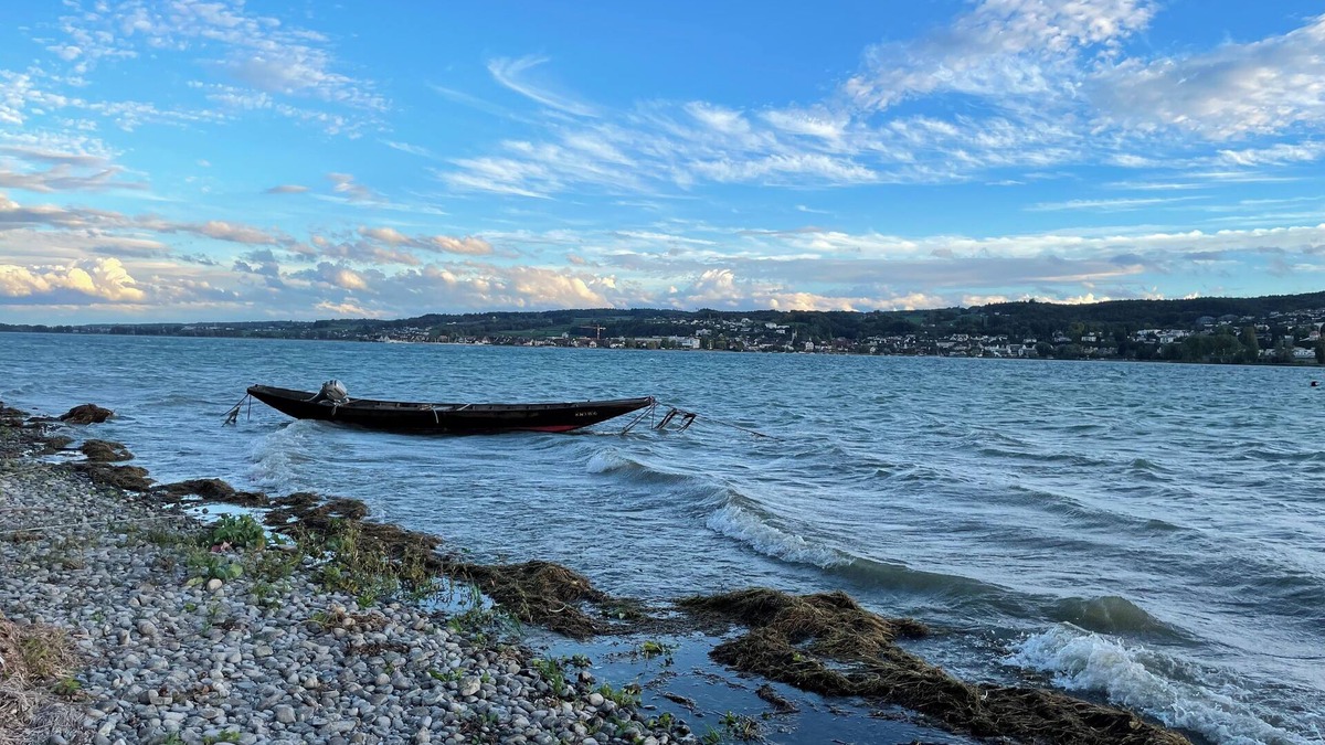 Reichenau Apartment | Vacation apartment Inselest
