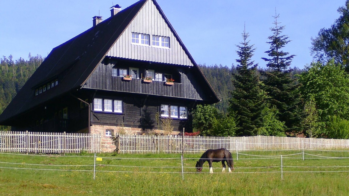 Forbach Apartment | Vacation apartment in idyllic forester's lodge, family-friendly, dogs welcome