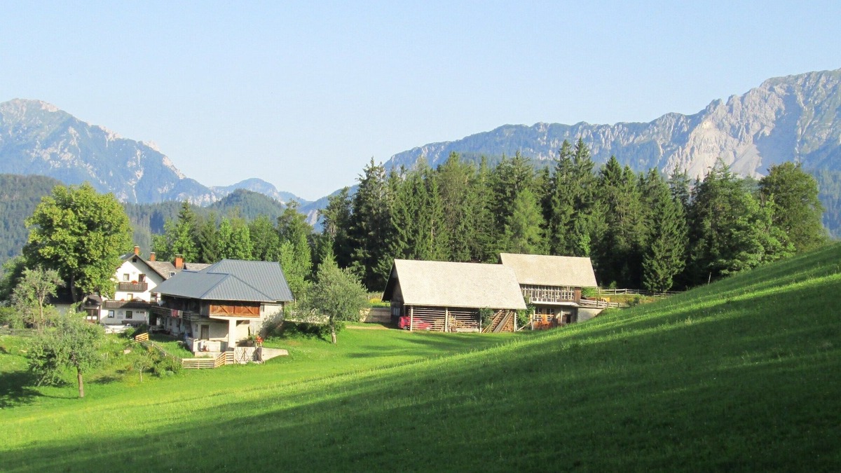 Trzic Apartment | Vacation apartment - mountain farm "Pr Tic" 1050m. Nature, peace, air! 25 km from Bled