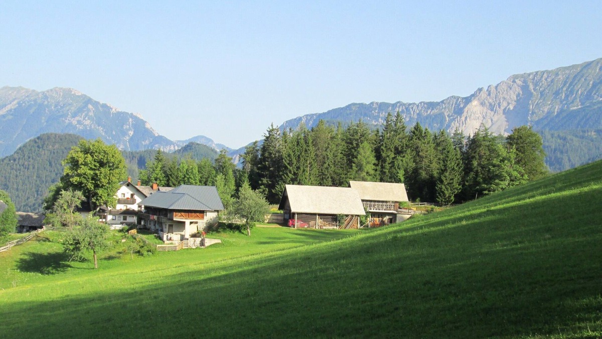 Trzic Apartment | Vacation apartment - mountain farm "Pr Tic" 1050m. Nature, peace, air! 25 km from Bled