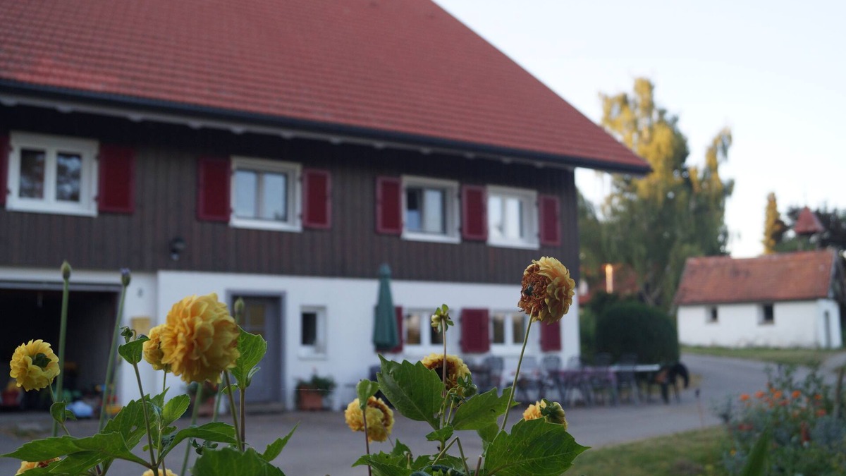 Christazhofen Apartment | Vacation apartment on a farm in the beautiful Allgäu with sunbathing lawn and fireplace