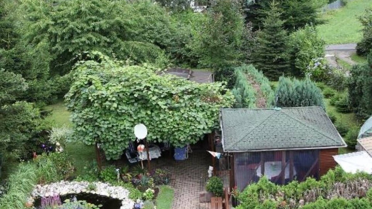 Hillscheid House | Vacation apartment Sauer (Standard Apartment)