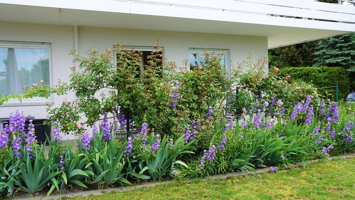 Meersburg Apartment | Vacation apartment Silvaner-Laube B