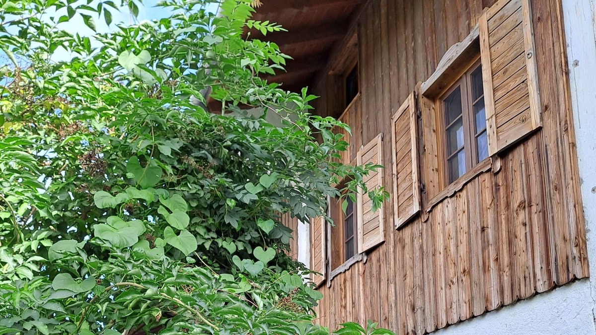 Oberwarngau Apartment | Vacation apartment Sunseid'n - Holiday apartment Thurnhuber