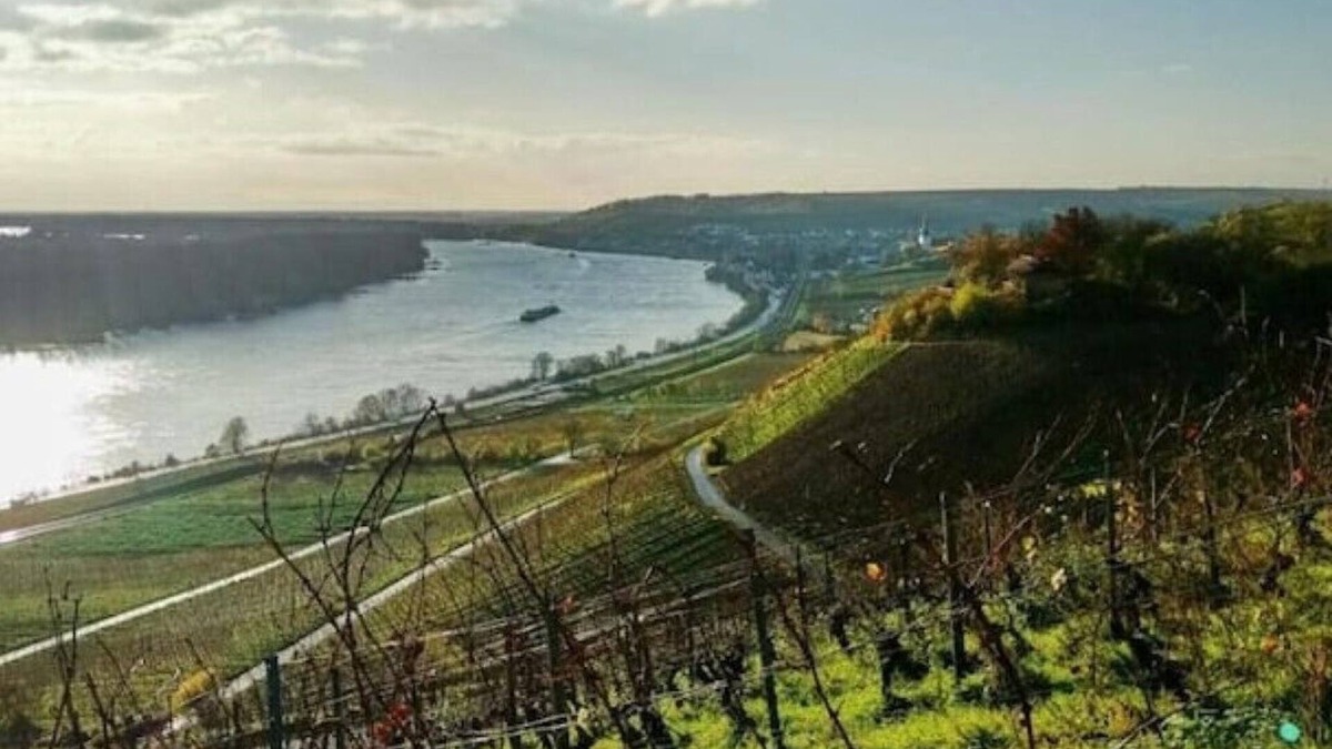 Mainz-Bingen Apartment | Vacation apartment Uhrturm