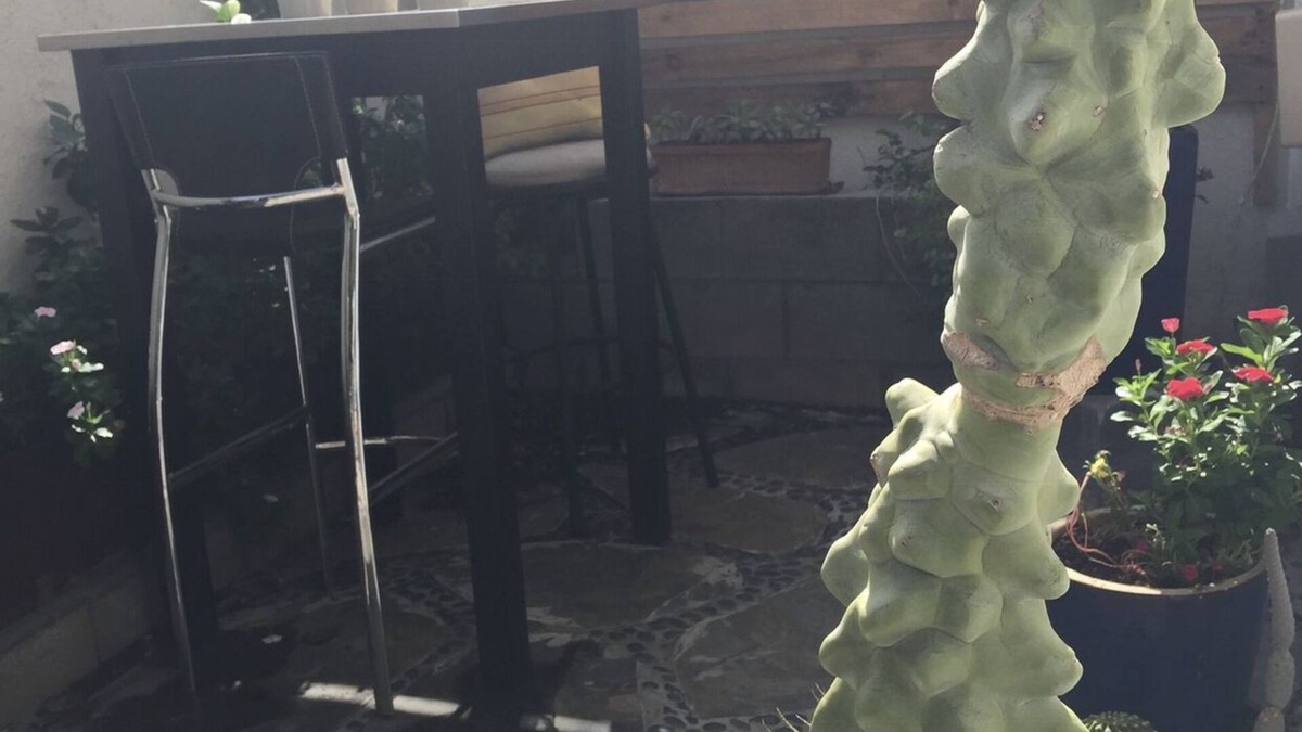 Villages Condo | Vacation condo, 2 miles in either direction to freeways