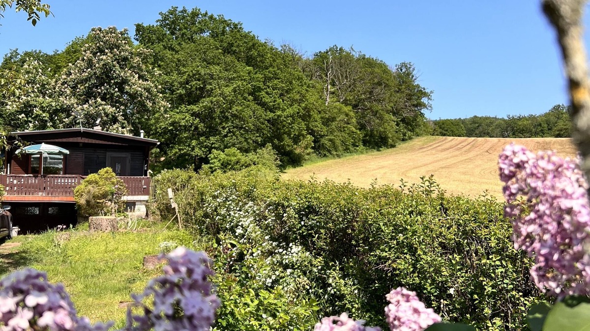 Neustadt/Harz House | Vacation cottage Neustadt Harz