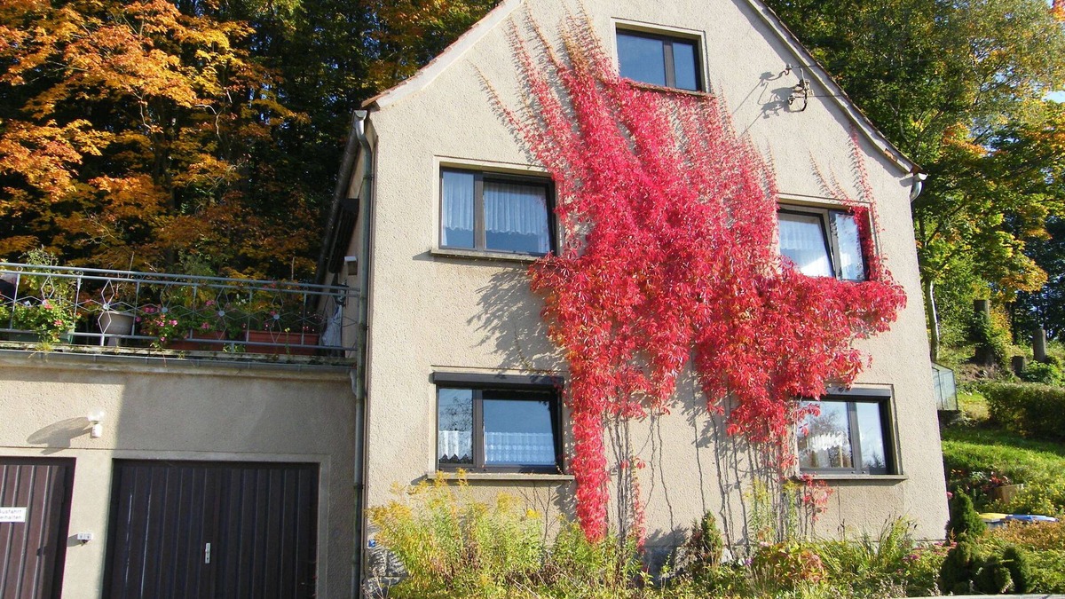 Ebersbach House | Vacation home for 4 guests with 100m² in Ebersbach-Neugersdorf (111153)