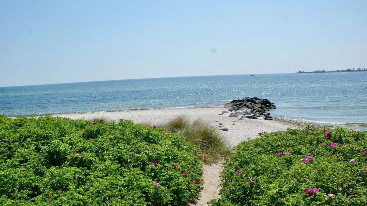 Fehmarnsund Apartment | Vacation apartment/apartment for 7 guests with 100m² in Fehmarn OT Fehmarnsund (126504)