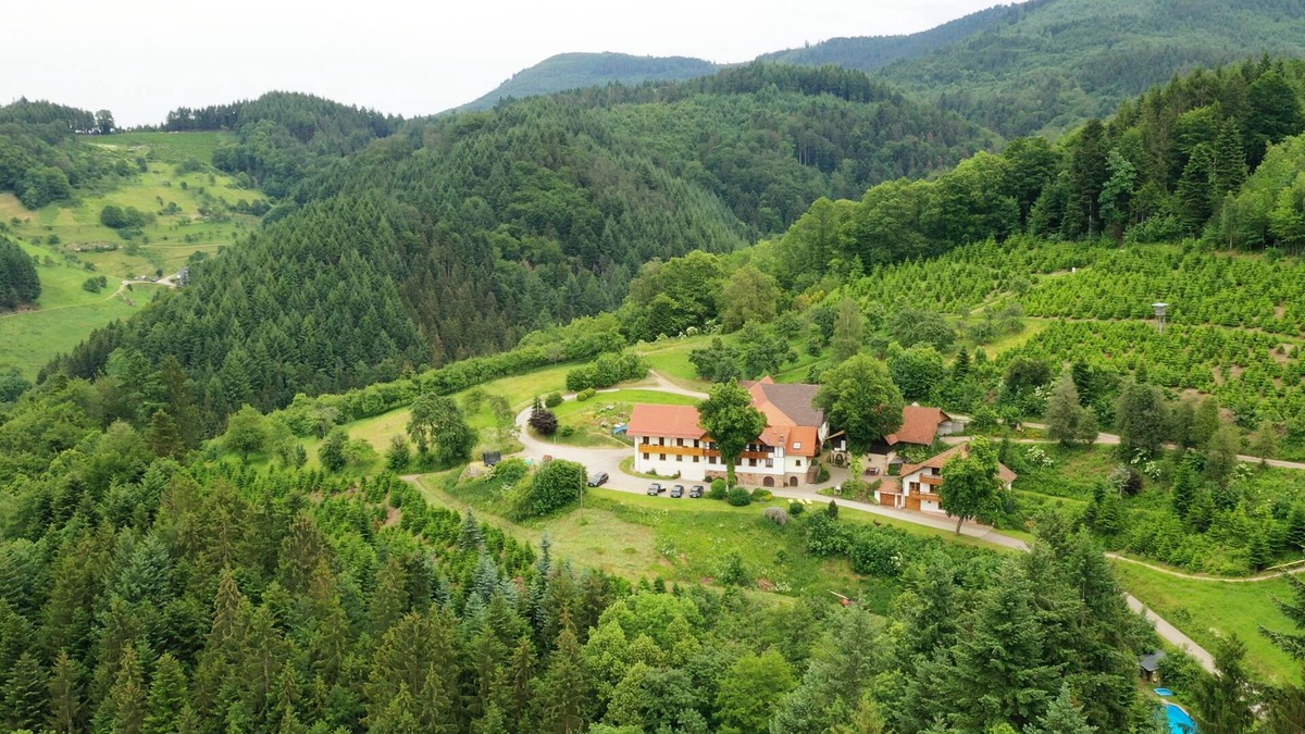 Durbach Apartment | Vacation farm Hölzleberg in Durbach in the Black Forest in the countryside with pool