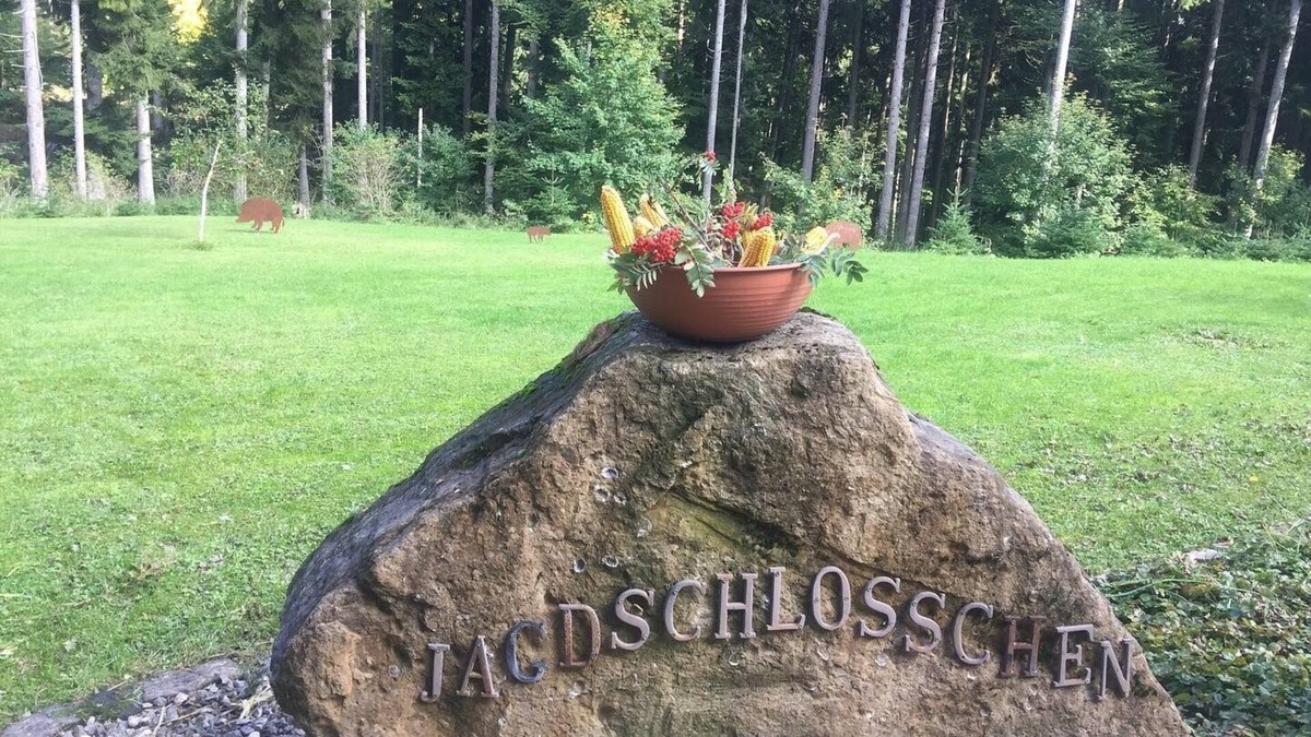 Kaltbrunn House | Vacation home in a beautiful location Wellness area can be booked on request