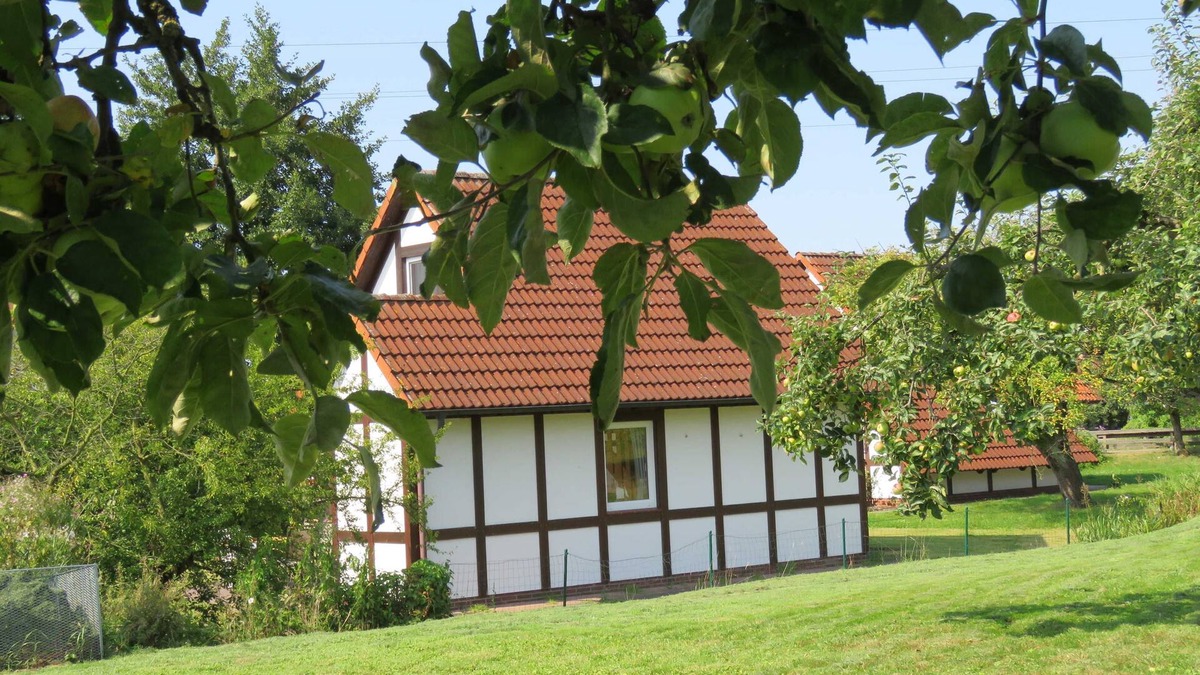 Hollern House | Vacation home 122 Scout 60sqm for max. 5 persons with pet - Holiday home Scout 60