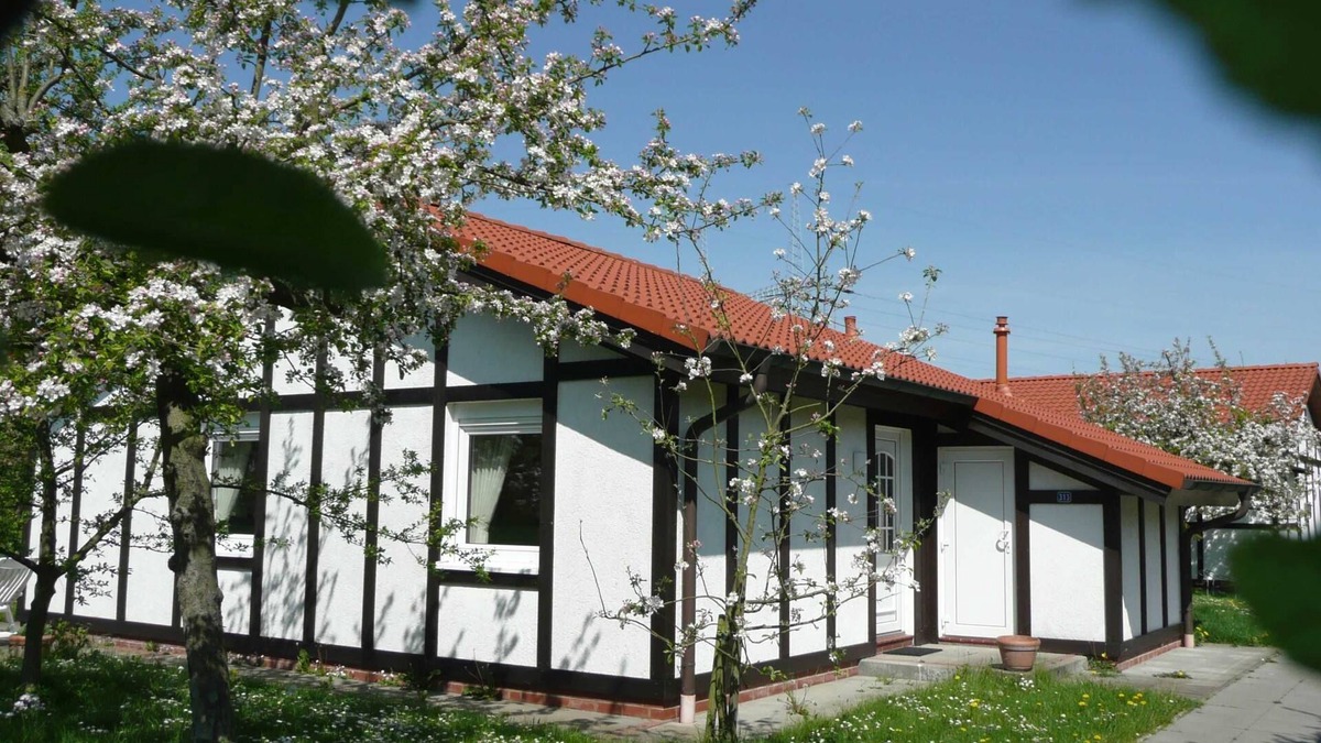 Hollern House | Vacation home 313 Kogge 60sqm up to 4 persons without pets - Ferienhaus Kogge im
