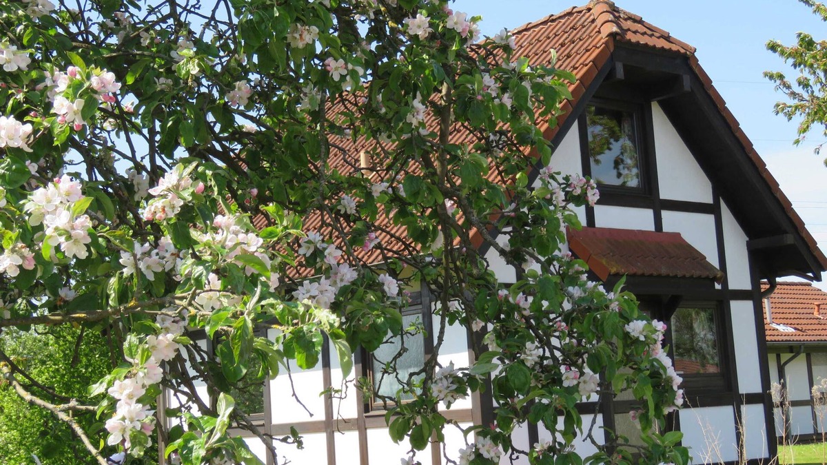 Hollern House | Vacation home 171 Deichgraf 65sqm up to 6 persons with pet - Ferienhaus Deichgraf