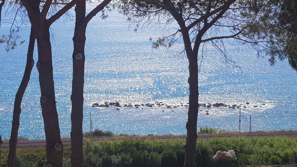 Belvedere Marittimo Apartment | Vacation home a few meters from the sea full optional with pets allowed