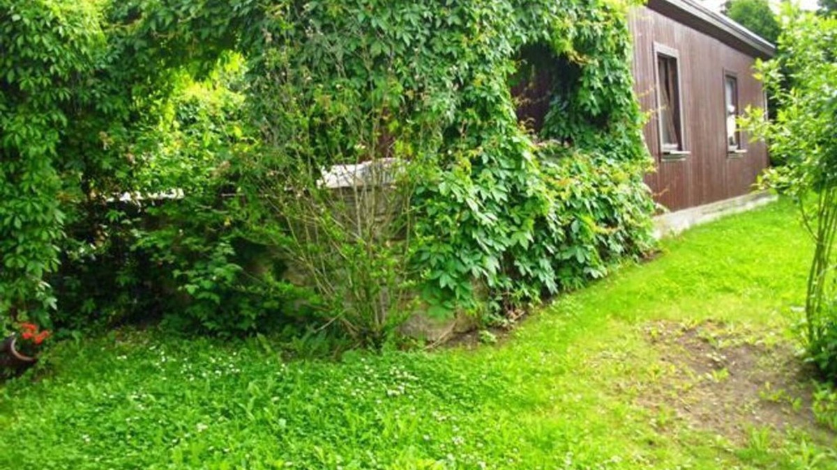Neinstedt House | Vacation home Am Graseberg - Mr. Strauchmann - Holiday home Am Graseberg