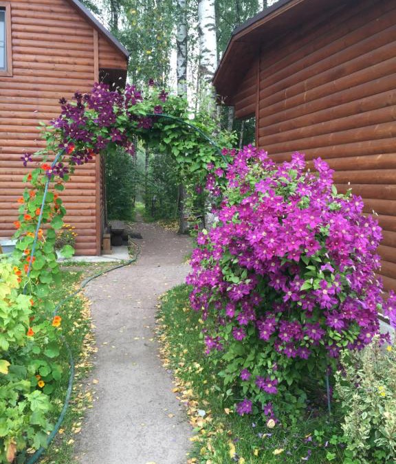 Gostilitsy House | Vacation home Banka u Ivana