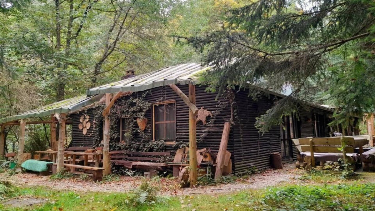 Jonsdorf House | Vacation home Das wilde Auwaldhaus - Holiday apartment